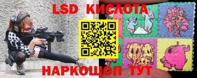 ПСИЛОЦИБИНОВЫЕ ГРИБЫ Сланцы