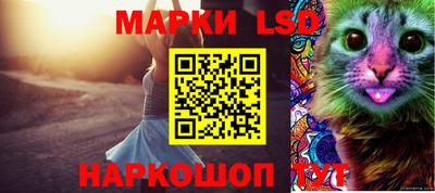ПСИЛОЦИБИНОВЫЕ ГРИБЫ Сланцы