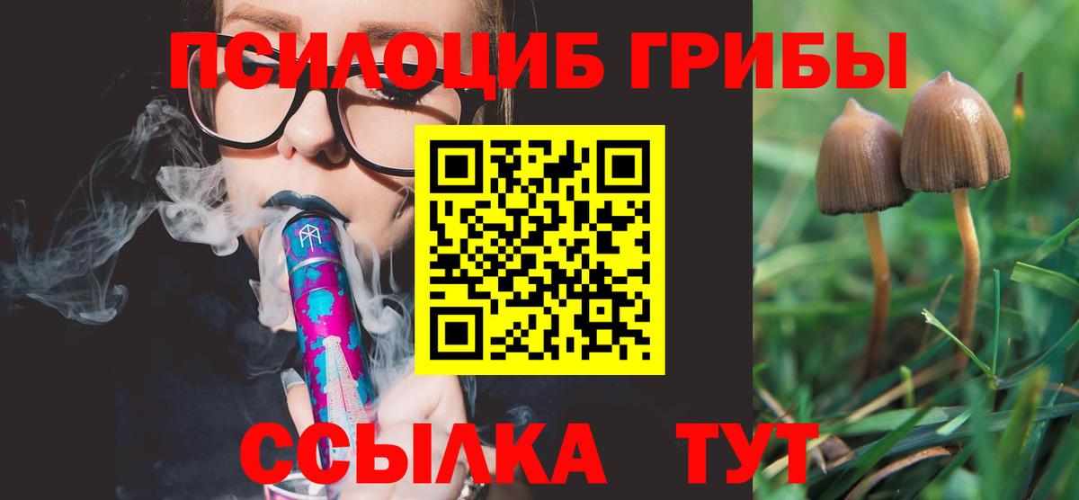 Истра  купить наркотики сайты  Вход с VPN  Галлюциногенные грибы Psilocybe  Псилоцибиновые грибы Magic Shrooms 
